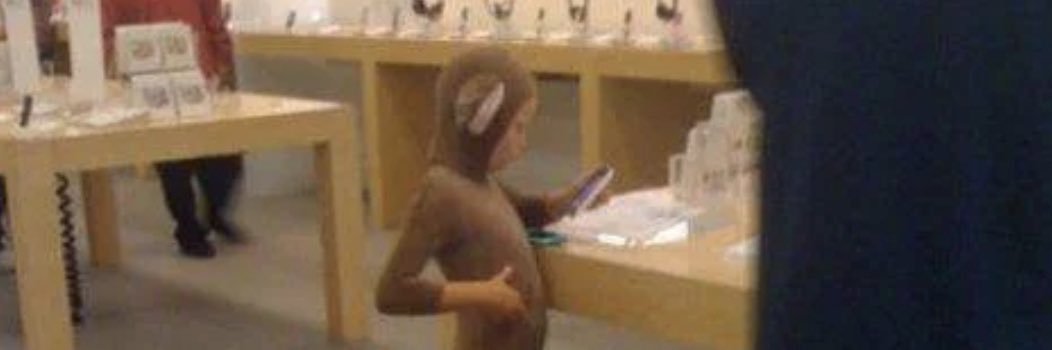 kush bloomberg banner