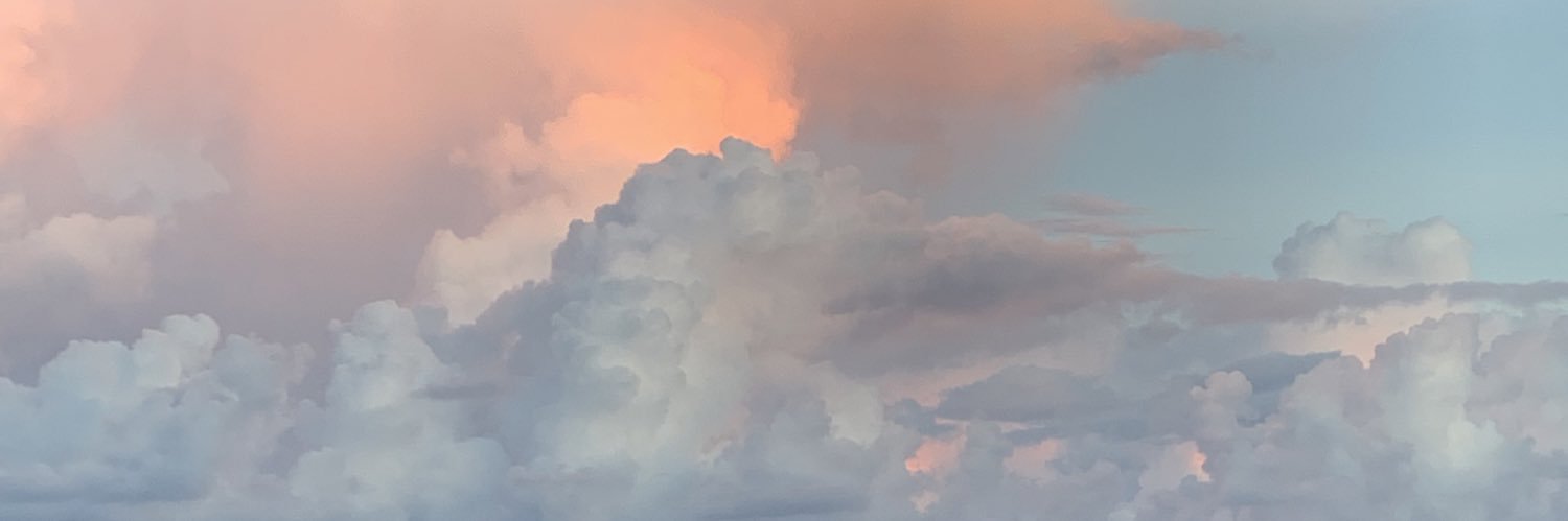 reilly_maddy's profile banner image