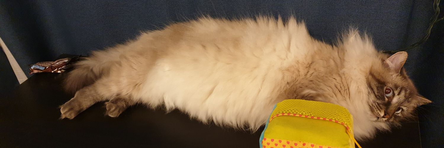 derevyash's profile banner image