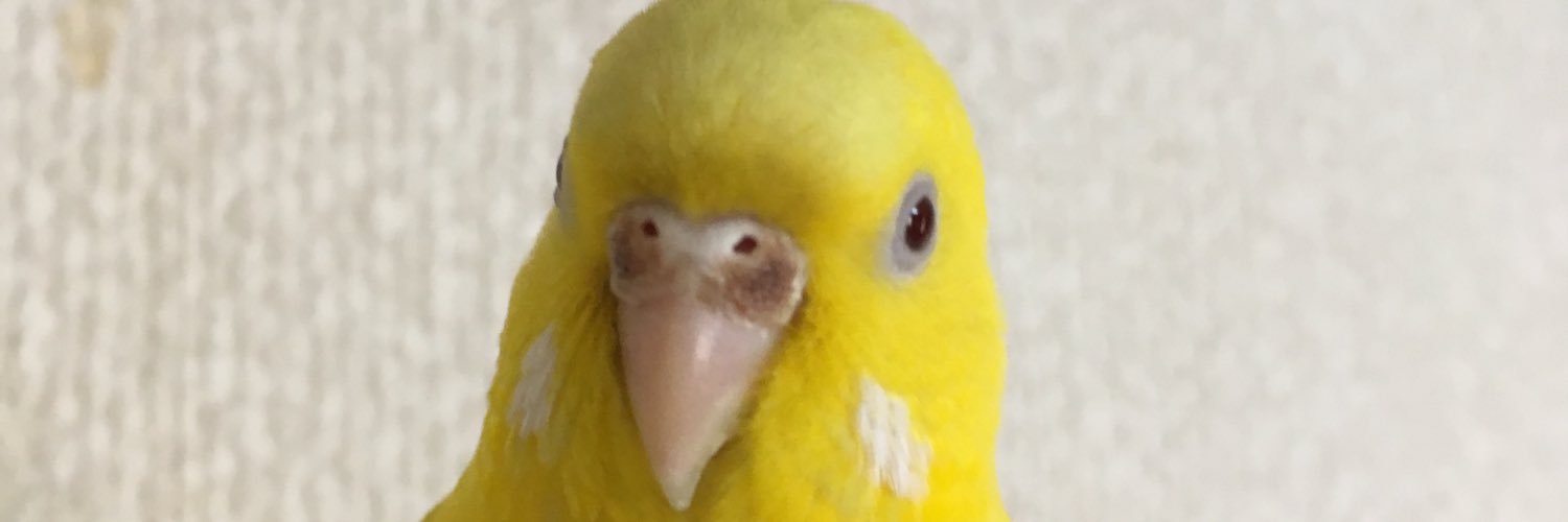 ycd's profile banner image