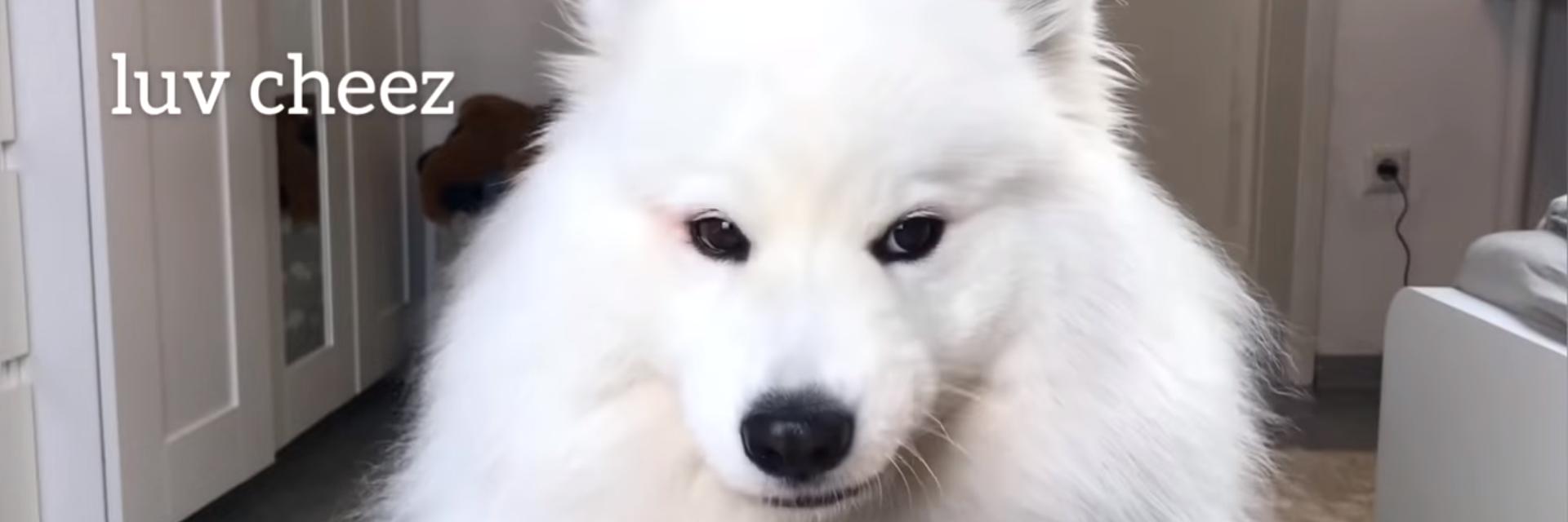 SeidNX's profile banner image