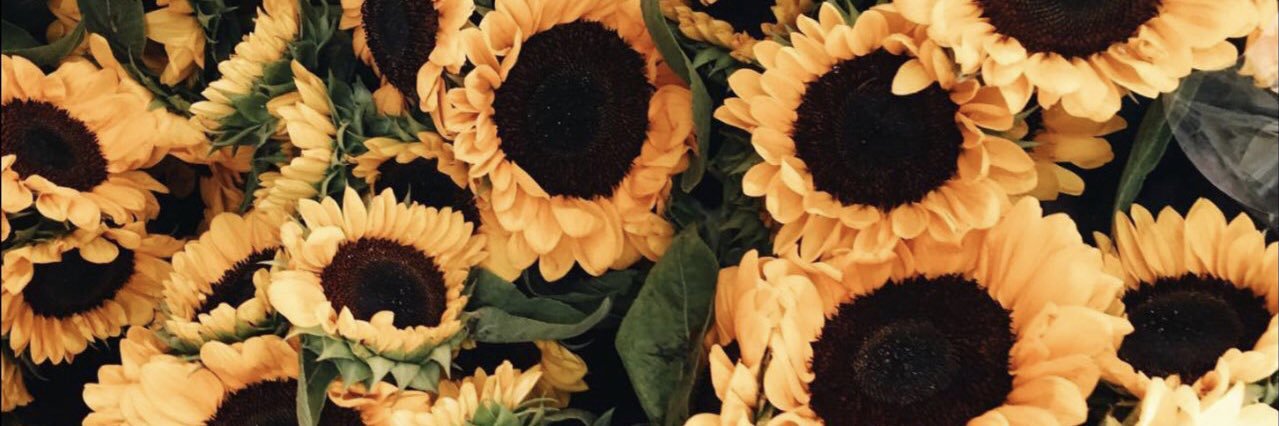 _yasmini's profile banner image
