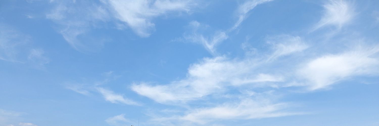 ogu_rin89's profile banner image