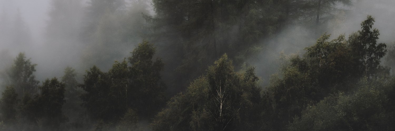 arc_enzo's profile banner image