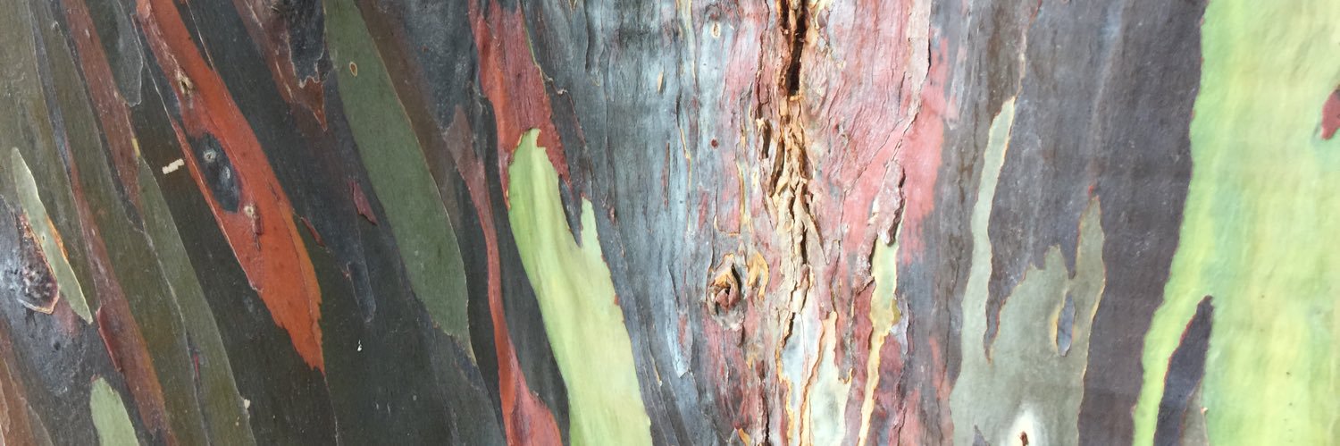 ctemple27's profile banner image