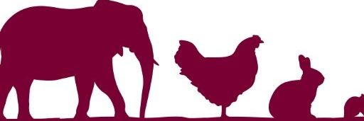 AWSELFA banner