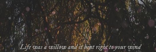 sei399's profile banner image