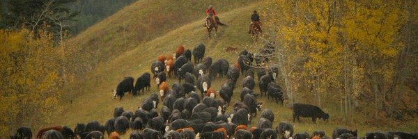 plateaucattleco Profile Banner