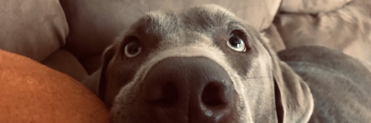 CourtneyMScar's profile banner image