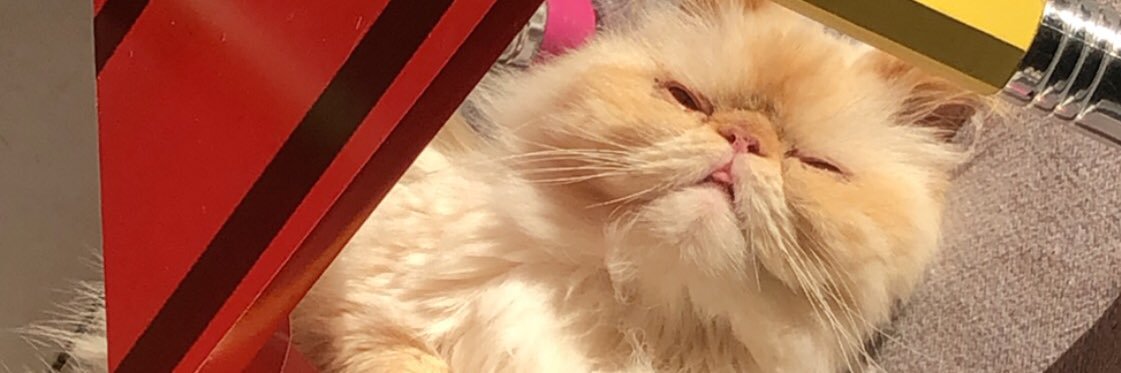 nathan_curlutu4's profile banner image