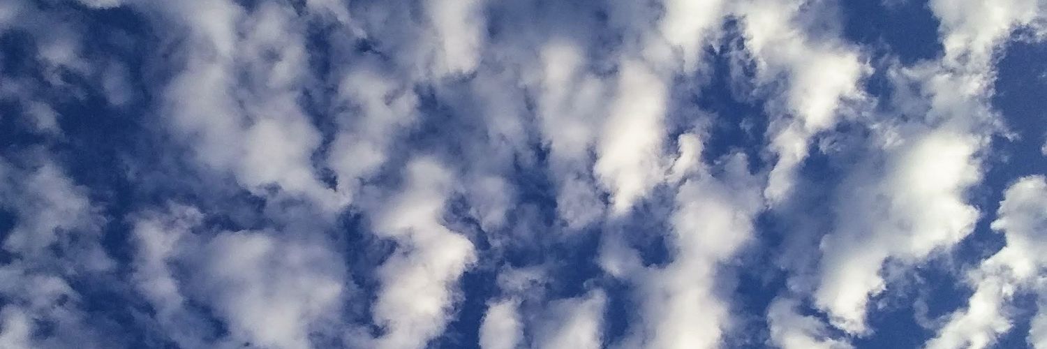 maca_arai's profile banner image