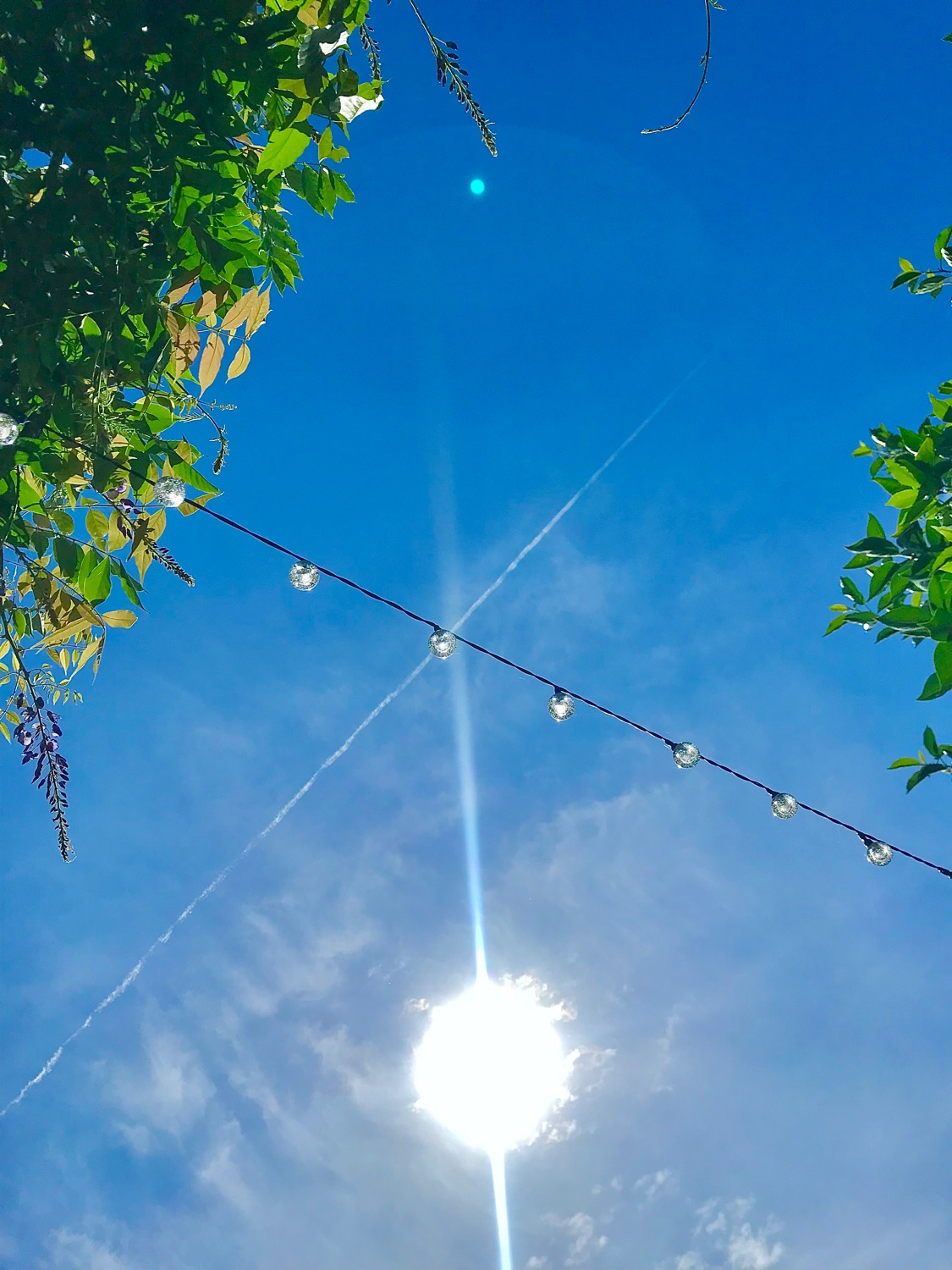 MissWrighty32's profile banner image