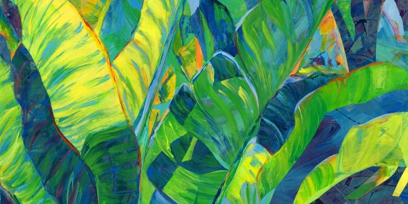 Purertra's profile banner image