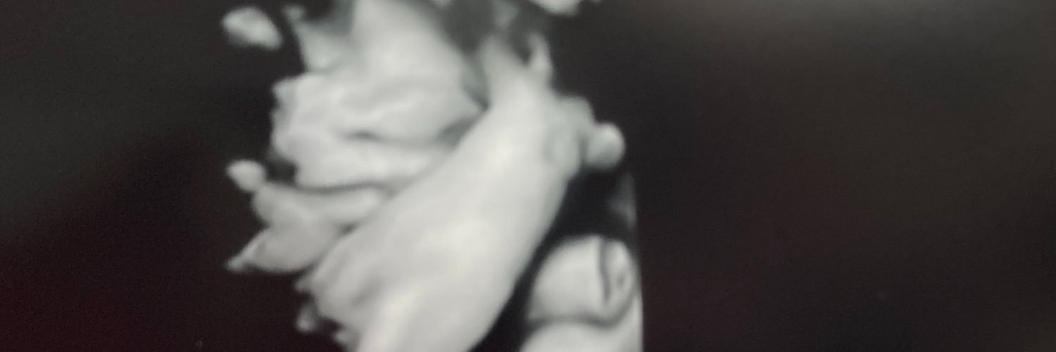IamSeanaee's profile banner image