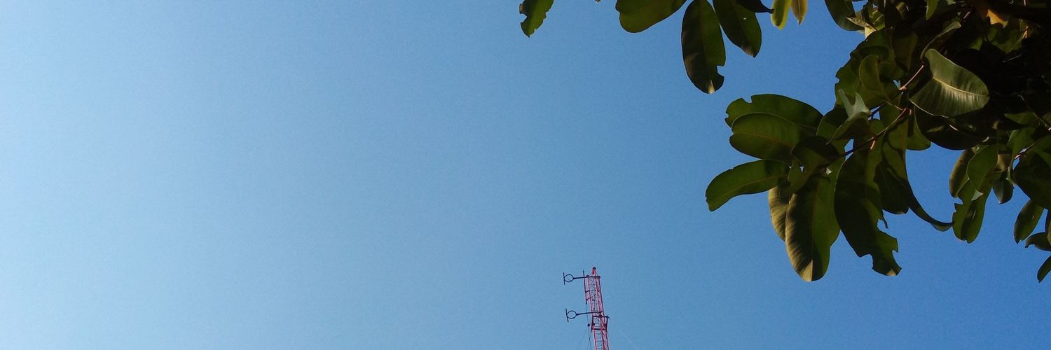 rednosebaer's profile banner image
