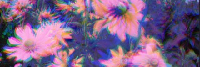 haynes_hailey's profile banner image