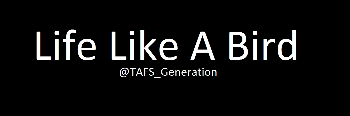 TAFS Generation banner