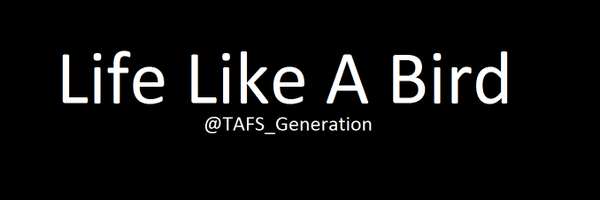 TAFS Generation Profile Banner