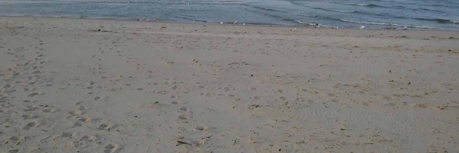Slytown26's profile banner image