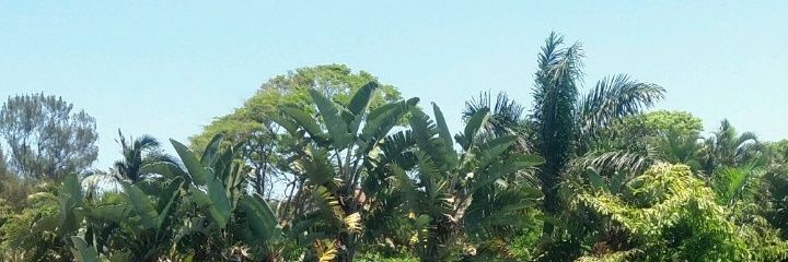 minentle_d's profile banner image