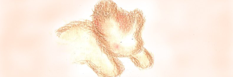 のここ banner