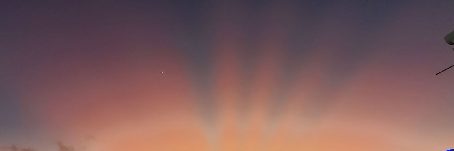 isabedpelkey's profile banner image
