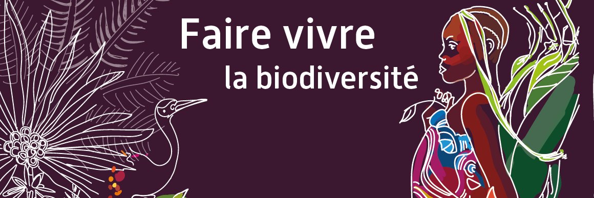 MLPouxviel's profile banner image