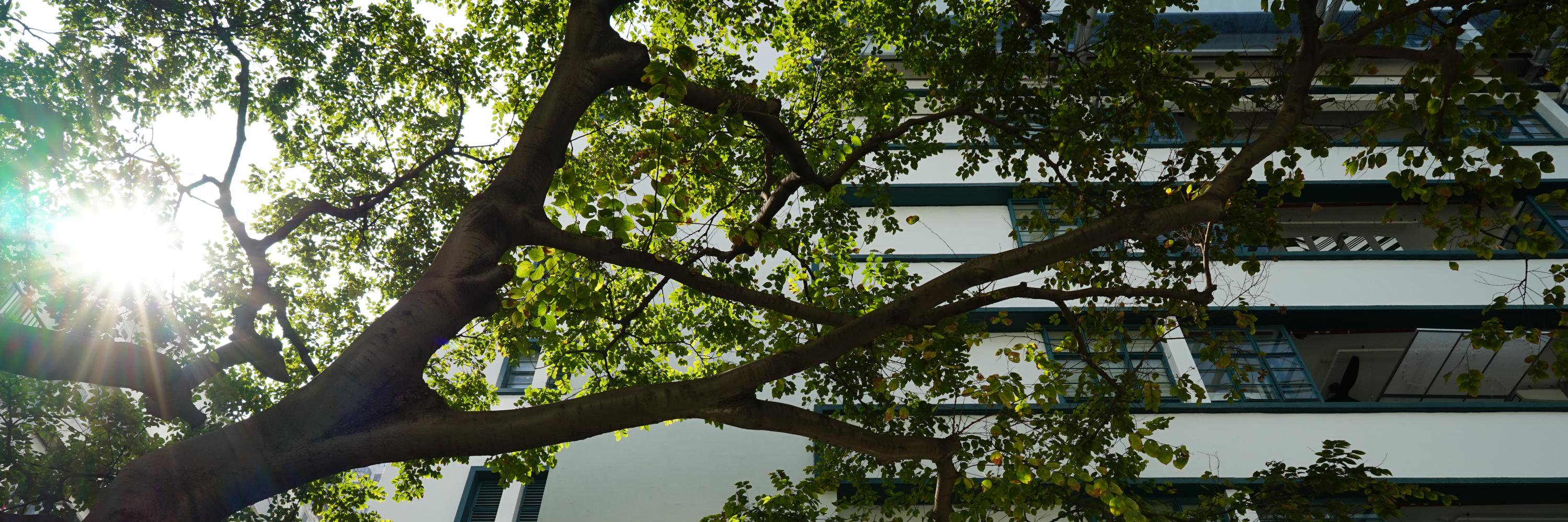 pmqhkdesign's profile banner image
