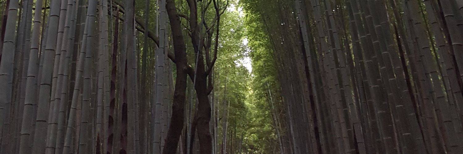 offtheride's profile banner image