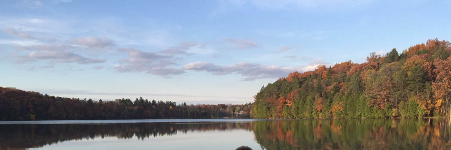 LMHarrSmith's profile banner image