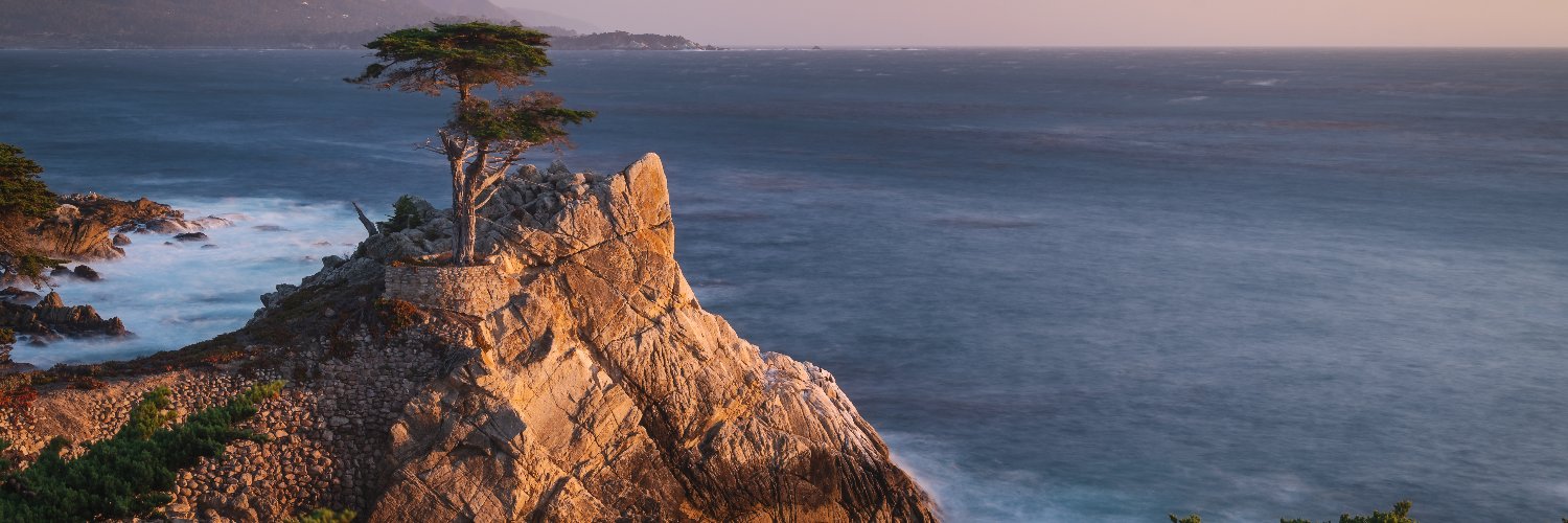 zshe404's profile banner image