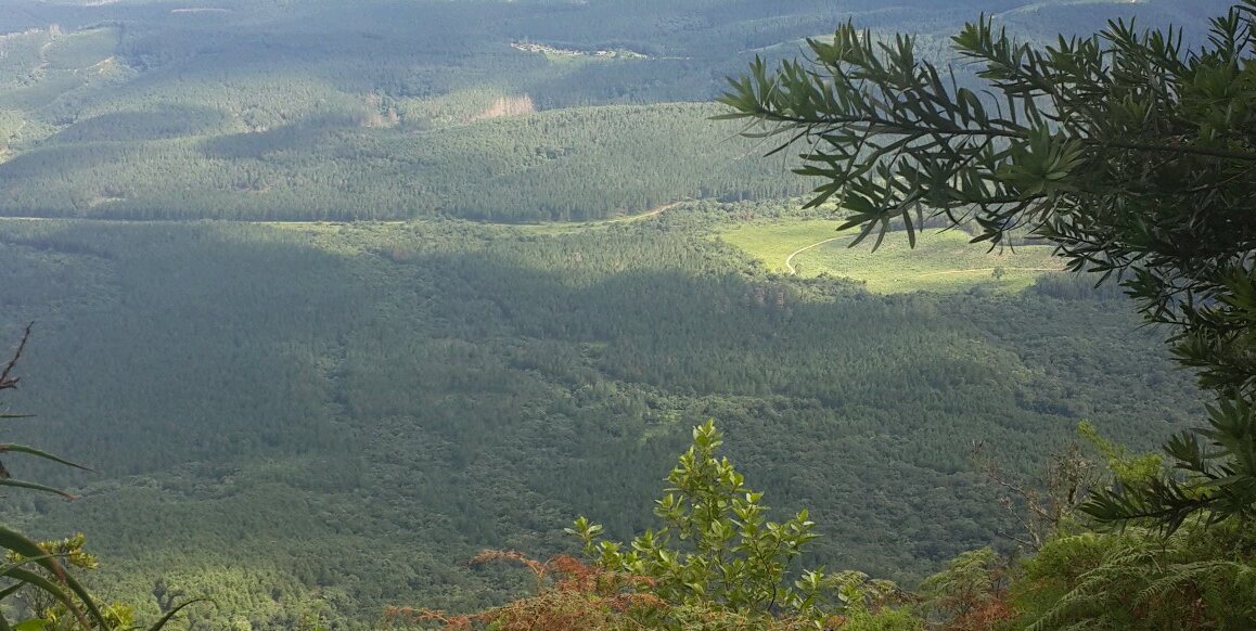 aphiri's profile banner image
