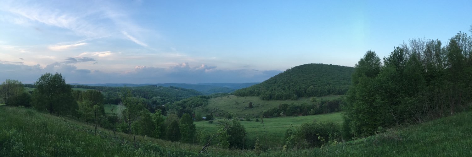 TheGreenMan68's profile banner image