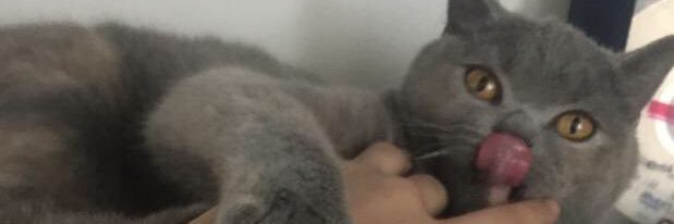 ebruuzunkopru's profile banner image