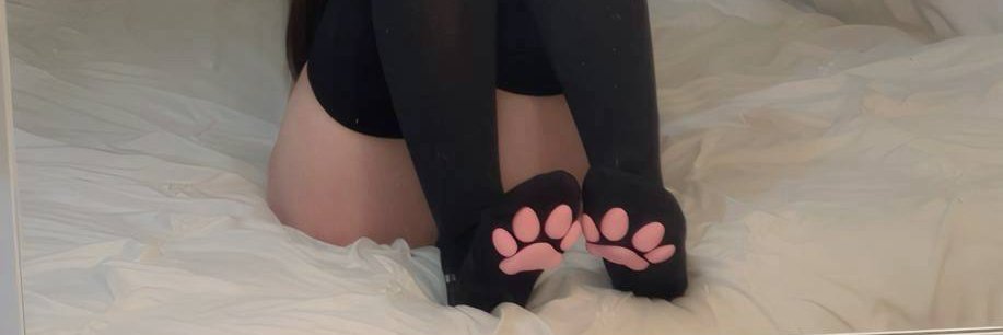 evapups's profile banner image