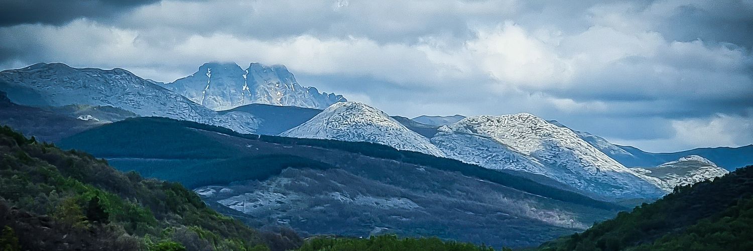 ℳ⌾ⅅ⌾_ℙᗅℂⅈℰℕℂⅈᗅ banner