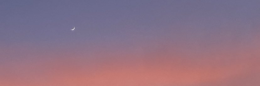 LuciaMMolina's profile banner image