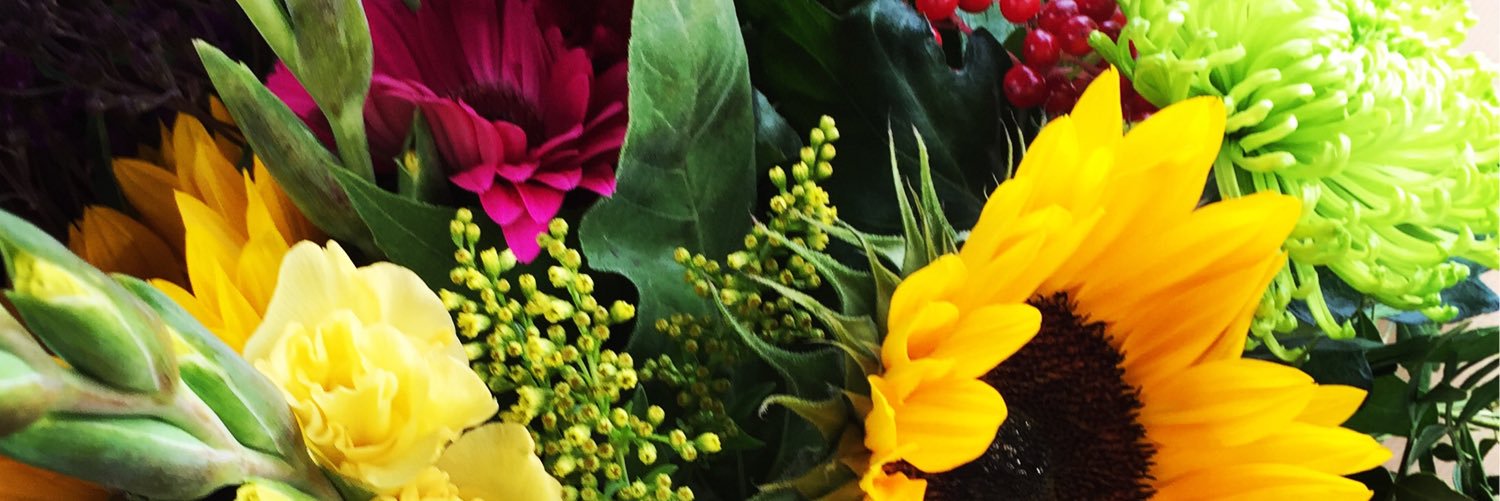 chels__may's profile banner image