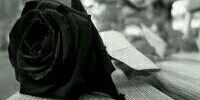 azahararm's profile banner image