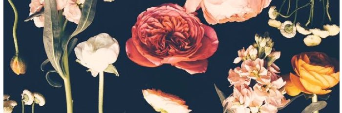 katewoosley's profile banner image