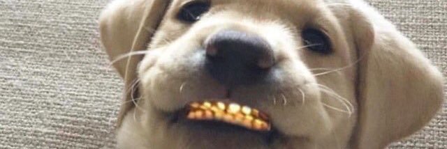 Maxk__'s profile banner image