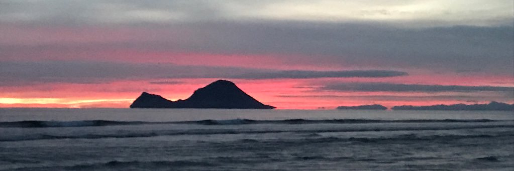 Adele Ferguson banner