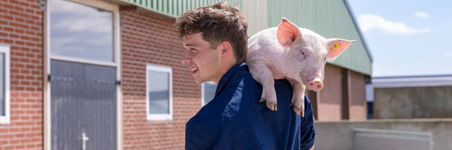 Pigbusiness.nl banner