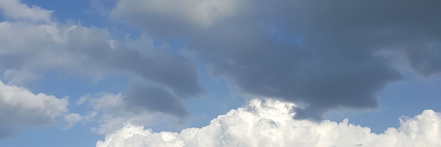 Yelling_guy's profile banner image