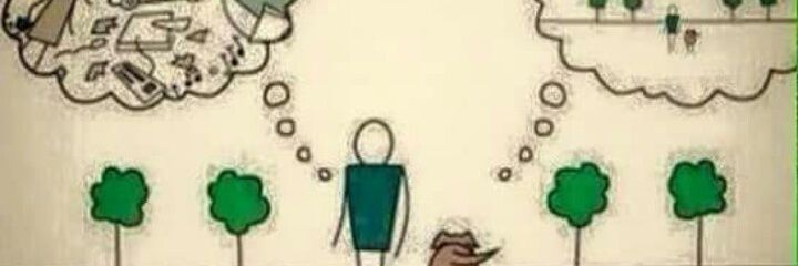 JPFiaschi's profile banner image