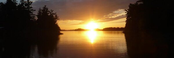 Ollievons Profile Banner