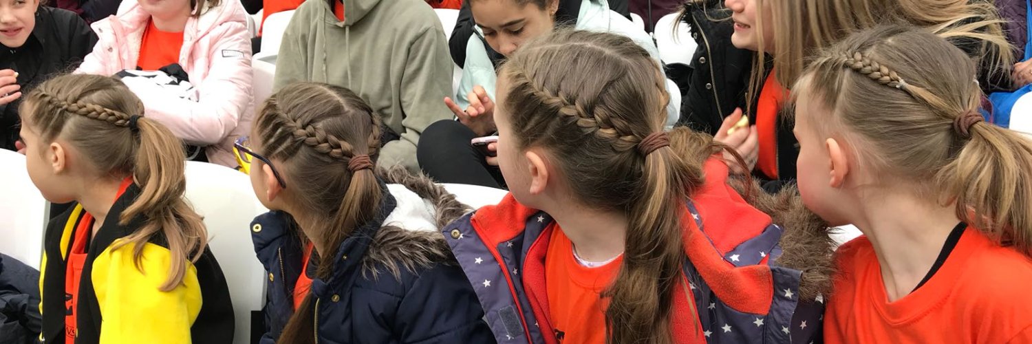 thebraidschool's profile banner image
