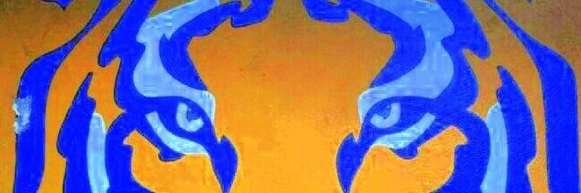 Pikaszo9's profile banner image