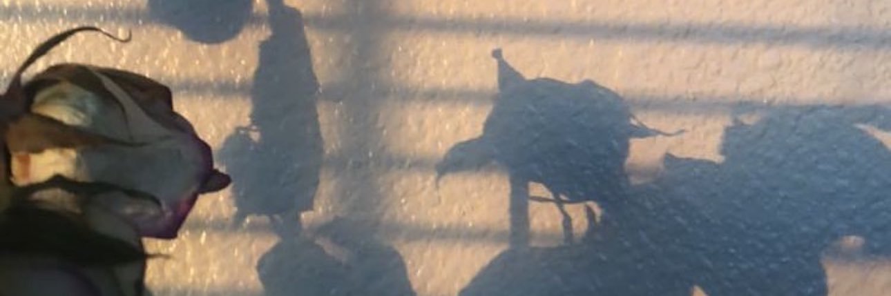 llindzzzz's profile banner image