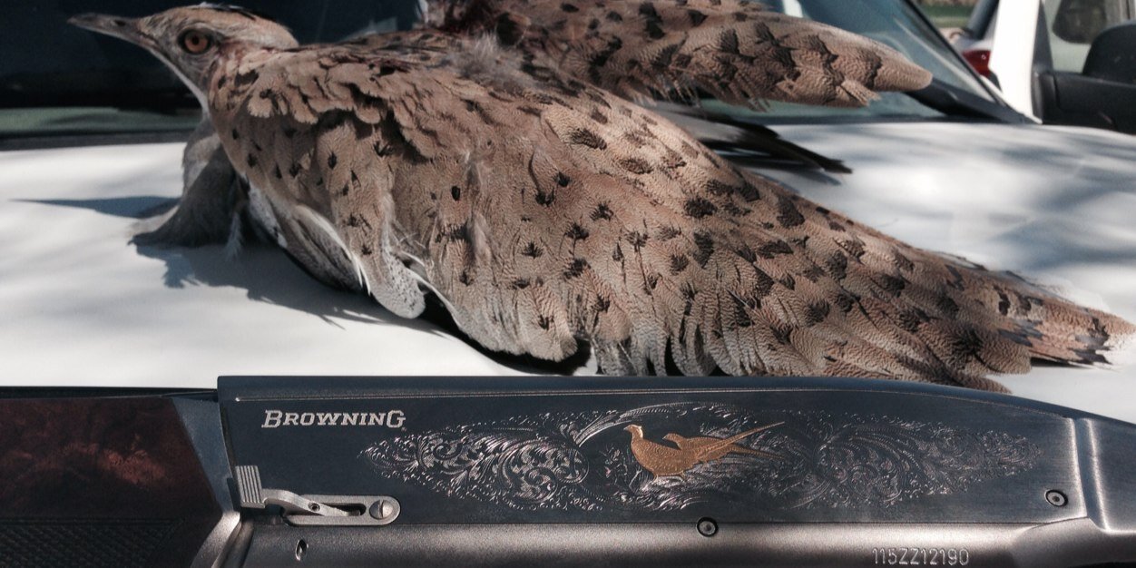 ls41979's profile banner image